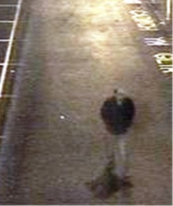British Transport Police would like to speak to this man after an attempted sexual assault at Ystrad Mynach train station on January 4