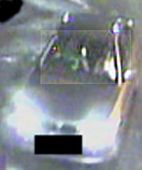 The BMW Gwent Police would like to trace in connection with the death of Ian Hamilton