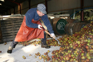 Blaengawney Cider has been given a business grant