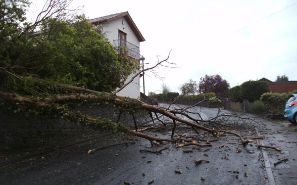 Gellihaf Road in Fleur de Lys