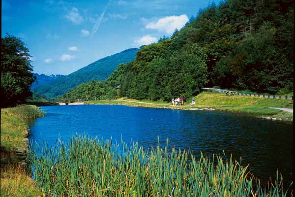Cwmcarn Lake