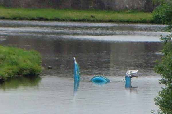 Loch Ness Monster in Caerphilly Caste Moat?