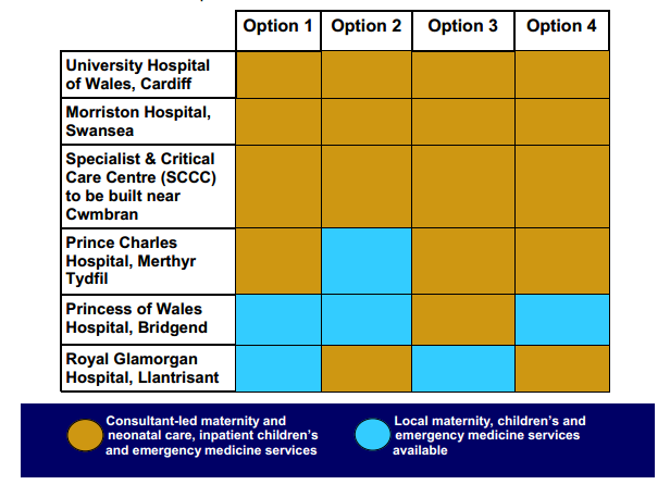 The options of the South Wales Programme