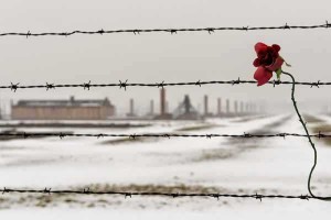 REMEMBER: A stark memorial is left on one of the camps' barbed wire fence