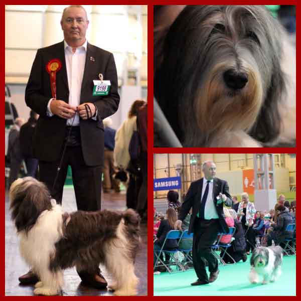 CHAMPION: Paul Lang and Tilly at Crufts