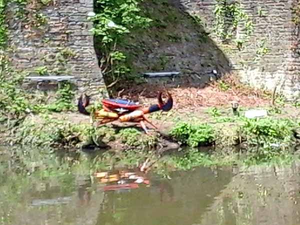 CRABBY: The sculpture in situ at Caerphilly Castle 
