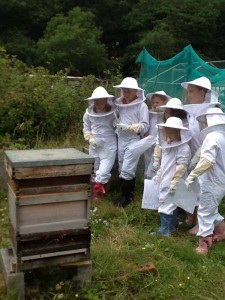 BUZZING: Children from across the county will visit the apiary and learn about bees 