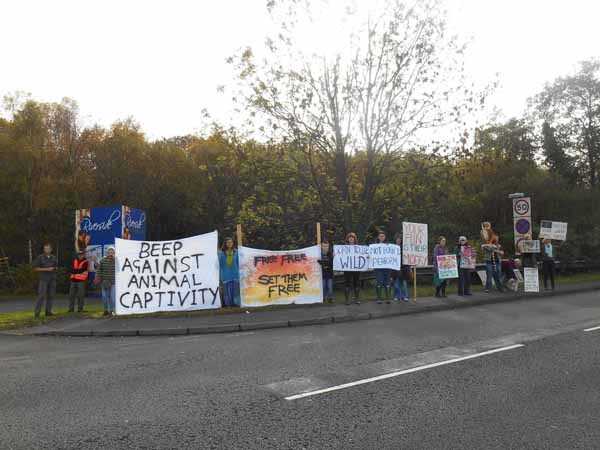 ANGRY: Protesters outside the show in Swansea