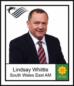 Plaid Cymru AM Lindsay Whittle, who fielded the original complaint, in sticker form