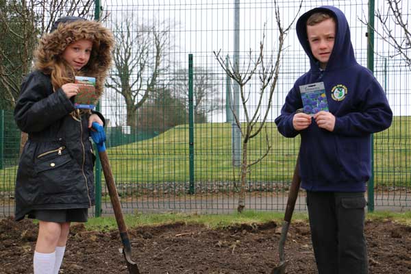 Joseph Williams and Seren Hudson from year 3 – representatives of the Pupil Council in charge of the spring flower planting project.  