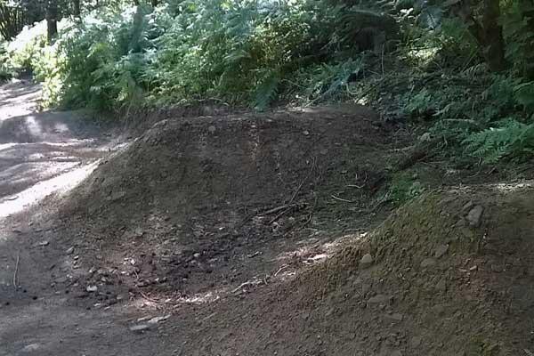 One of the jumps at the Warren, Caerphilly