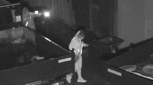Police want to identify this woman in connection with criminal damage to a vehicle at Morgan Jones Park
