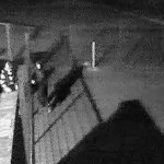 Police are appealing for information to identify this person or car in relation to burglaries at Oakdale Business Park