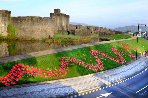 A wave of poppies have been planted on the banking opposite the Twyn in Caerphilly town to mark the launch of this year's Poppy Appeal