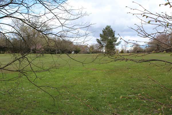 TEED-OFF: The south-west corner of Oakdale Golf Course. Photo by M J Roscoe