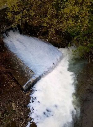 The River Ebbw was reportedly coloured white as a result of the pollution, which has now been restored