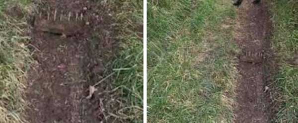 TRAPS: Police tweeted photos showing the spiked traps on Caerphilly Mountain