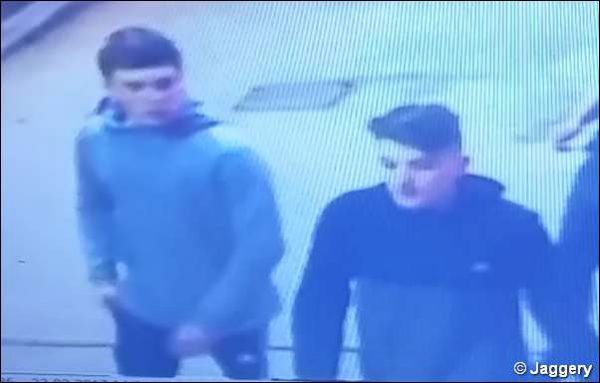Police want to speak to these two people in connection with an attempted break-in