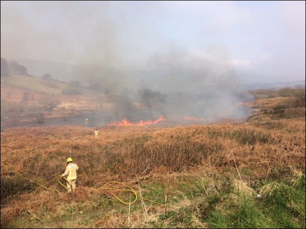 A fire crew from Caerphilly battled against a blaze on Rudry Common on Monday, March 27