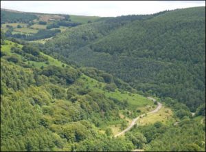 Cwmcarn Forest Drive. Photo from NRW
