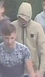 Police would like to speak to these two boys after Blackwood Bus Station was damaged