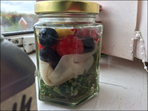 A jar full of materials ready to be solar-dyed