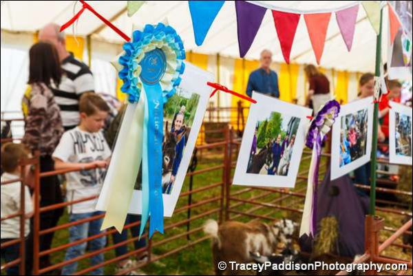 There was plenty on offer to keep visitors entertained.