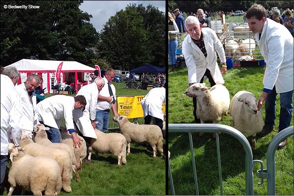There was plenty to see and do at this year's Bedwellty Show held at Llancaiach Fawr