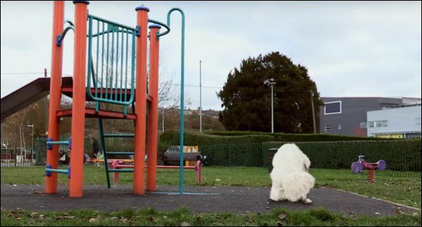 Dogs are banned from children's play areas across the borough. Photo: Caerphilly County Borough Council