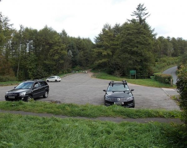 Coed Parc Y Van car park will close to allow for the felling of larch trees. Photo: Jaggery