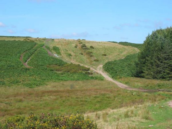 Senghenydd Dyke. ©John Thorn