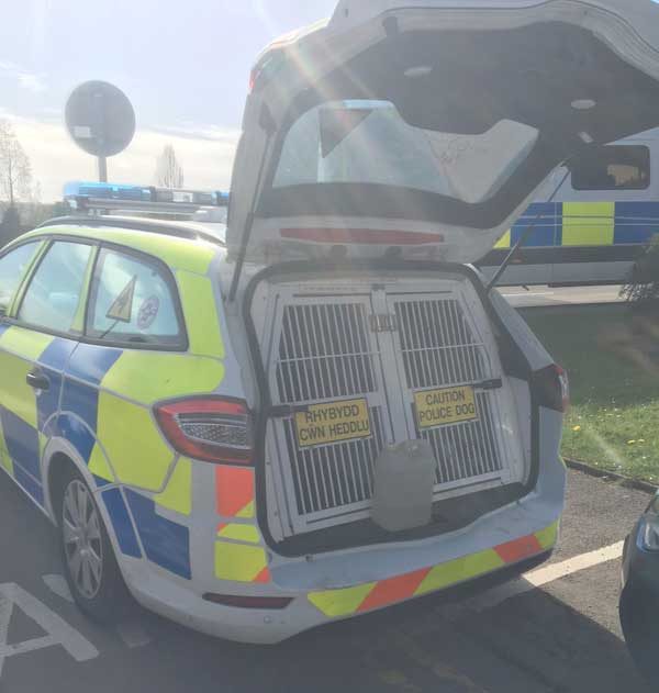Gwent Police used sniffer dogs and around 50 specialist officers in the raids