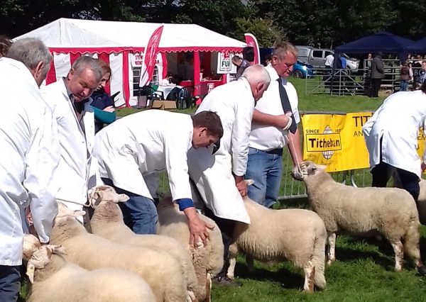 Bedwellty Show