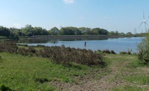 Pen-y-Fan pond, near Pen-y-Fan Industrial Estate