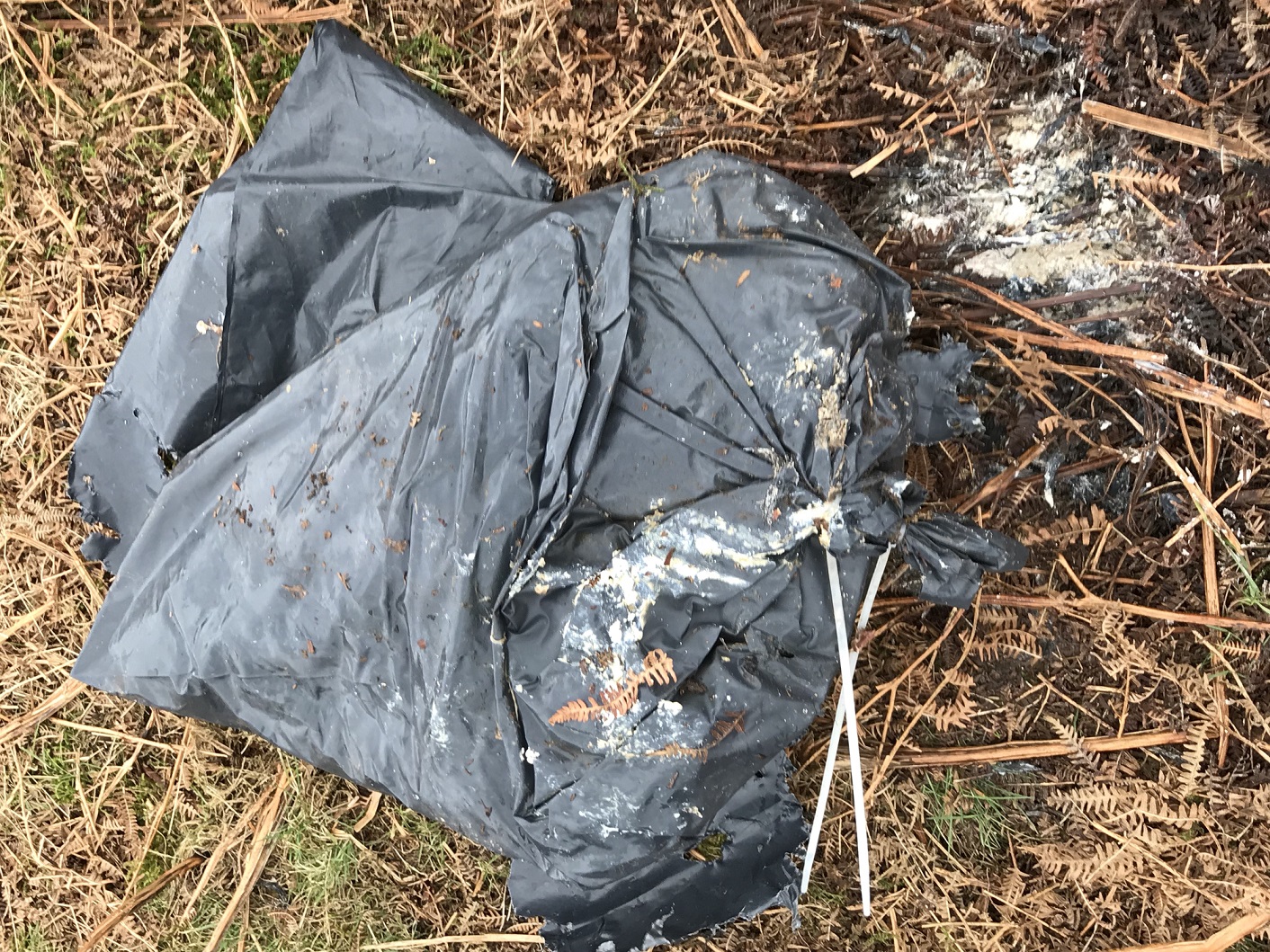 Dog found dead in plastic bag in Aberbargoed