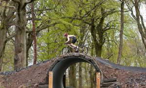 A tunnel like this one could be used for the planned new trail at Cwmcarn Forest