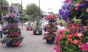 Flower displays in Caerphilly town centre