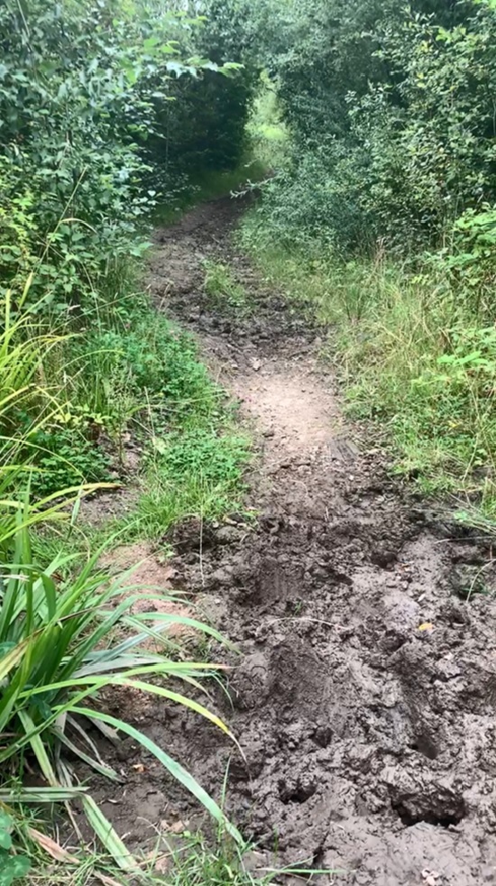 One of the bridle paths in Oakdale