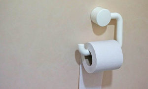 toilet paper stock image