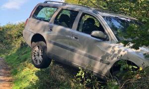 A car crashed into a tree on Pandy Road, Bedwas