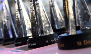 Nominations for the St David Awards are now open