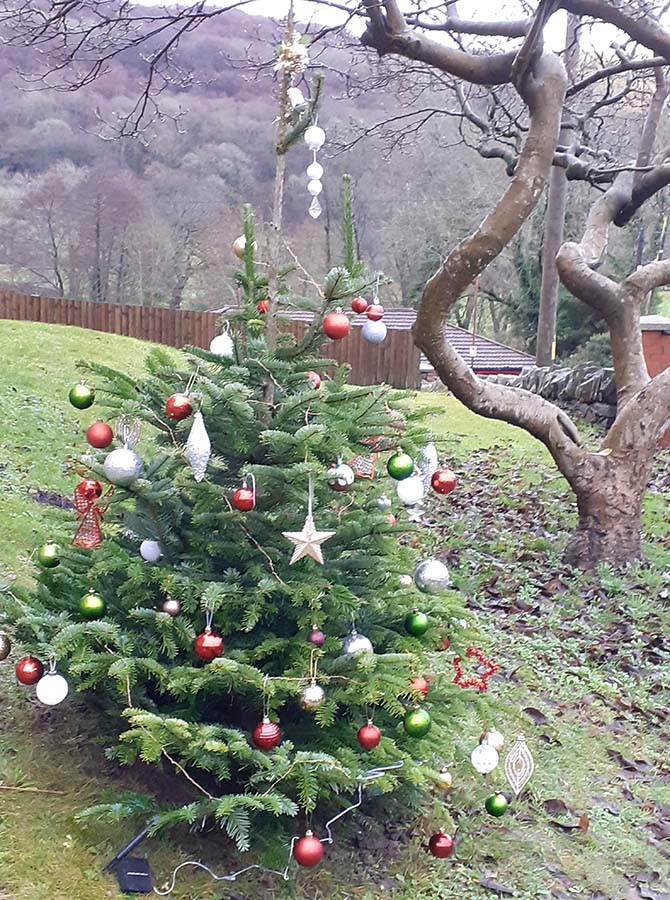 The Christmas tree in Llanbradach, donated by Veg of Evans and decorated by residents in Llamau accommodation 