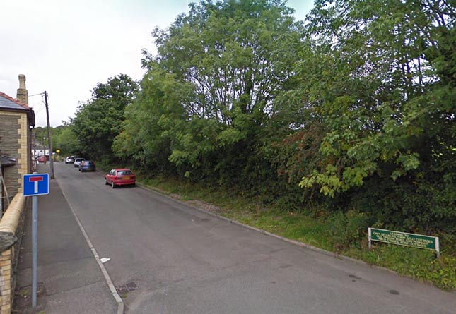 Plans to get rid of part of an "ancient" hedgerow in Blackwood have been criticised