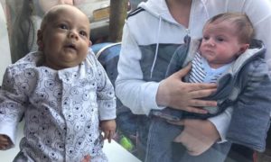 Babies Codi, left, and Cohan meeting each other through the window