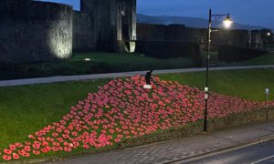 The Poppy Appeal display on the banks of Caerphilly Castle