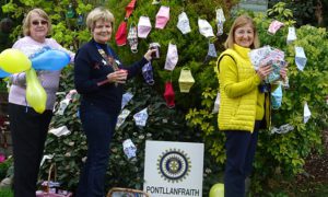 Pontllanfraith Inner Wheel members have been making and selling face masks