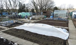 Cascade Community Allotments