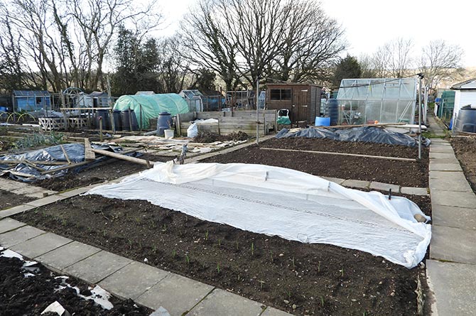 Cascade Community Allotments