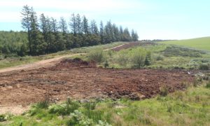 Bob Gay Plant Hire Ltd has been prosecuted for illegal soil and waste dumping on Elgwysilan Common
