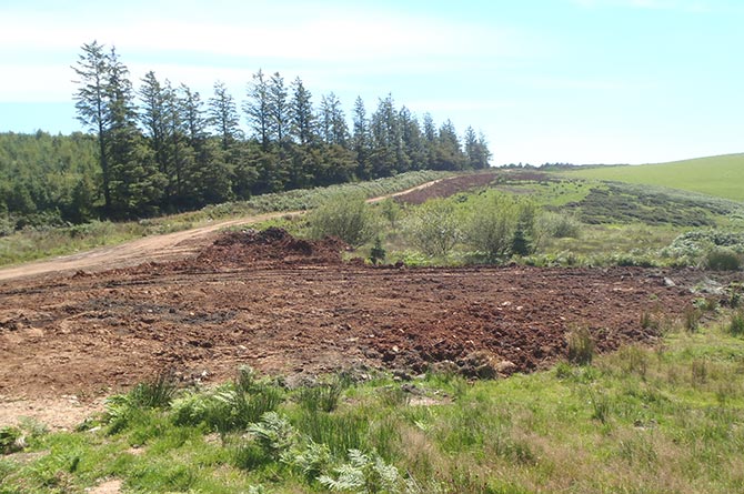 Bob Gay Plant Hire Ltd has been prosecuted for illegal soil and waste dumping on Elgwysilan Common